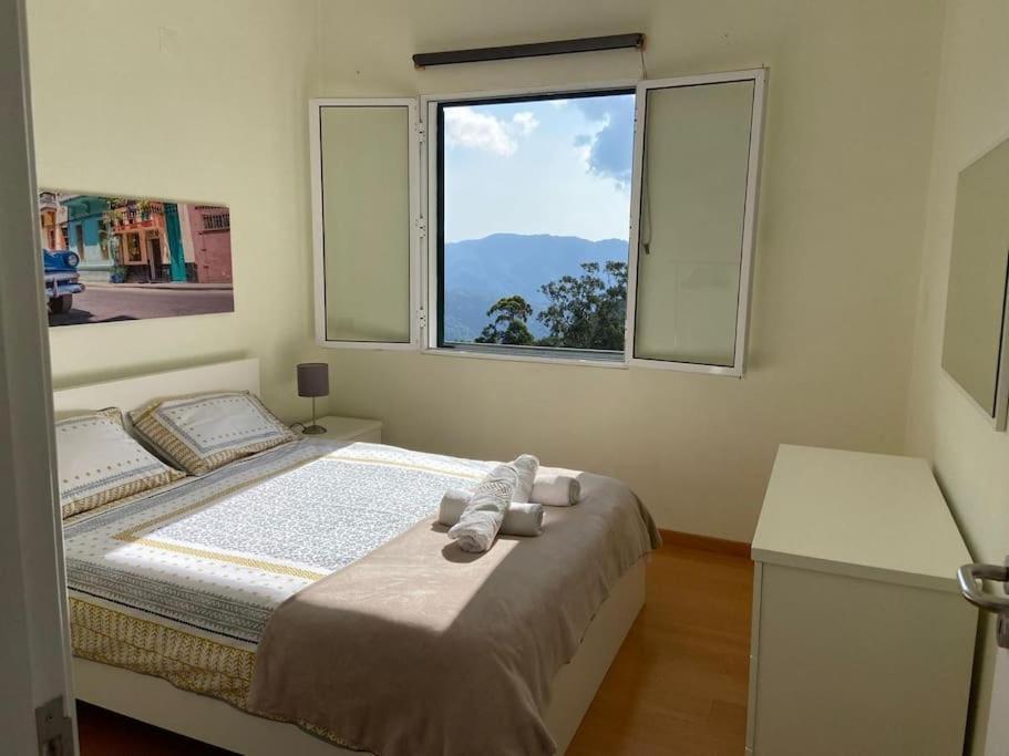 The Hideaway Retreat Villa Santo Antonio da Serra Екстериор снимка
